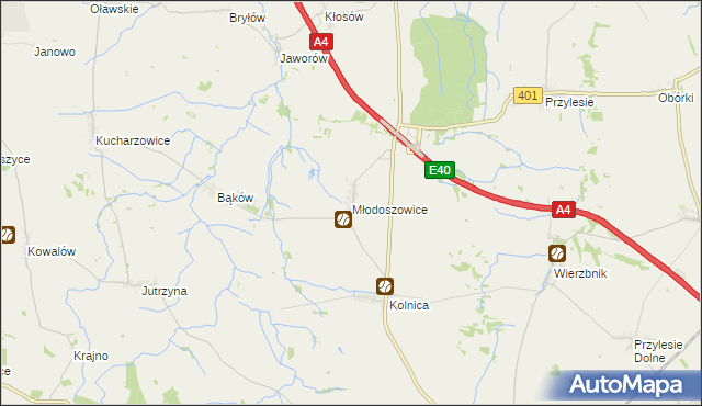 mapa Młodoszowice, Młodoszowice na mapie Targeo