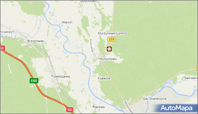 mapa Murzynowo gmina Skwierzyna, Murzynowo gmina Skwierzyna na mapie Targeo