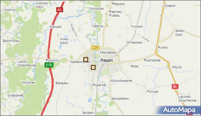 mapa Pelplin, Pelplin na mapie Targeo