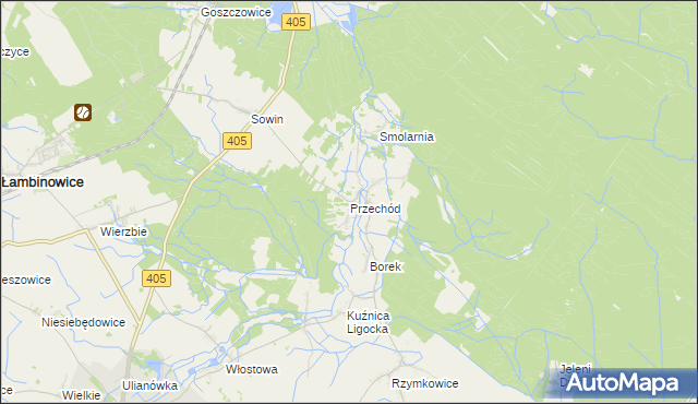 mapa Przechód gmina Korfantów, Przechód gmina Korfantów na mapie Targeo