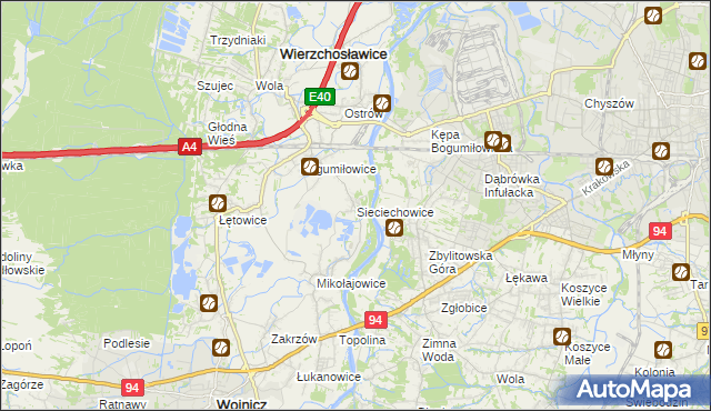 mapa Sieciechowice gmina Wierzchosławice, Sieciechowice gmina Wierzchosławice na mapie Targeo