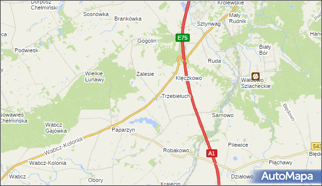 mapa Trzebiełuch, Trzebiełuch na mapie Targeo