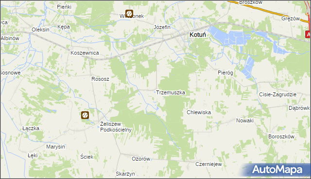 mapa Trzemuszka, Trzemuszka na mapie Targeo