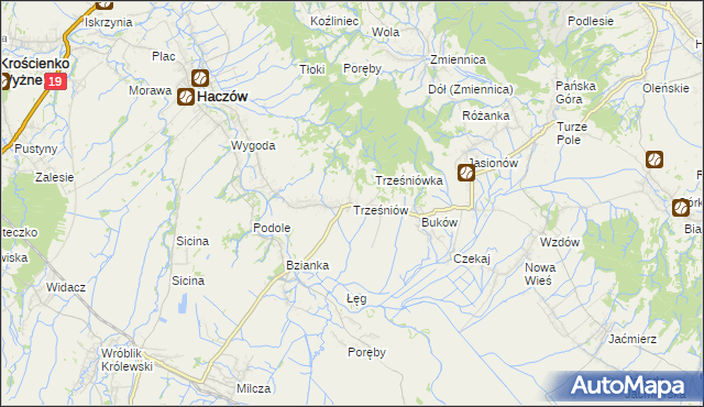 mapa Trześniów gmina Haczów, Trześniów gmina Haczów na mapie Targeo