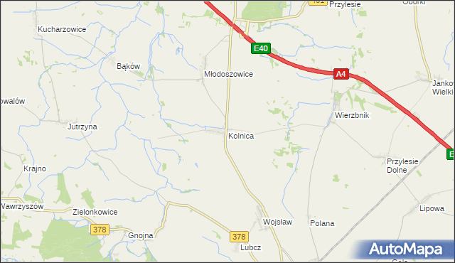 mapa Kolnica gmina Grodków, Kolnica gmina Grodków na mapie Targeo