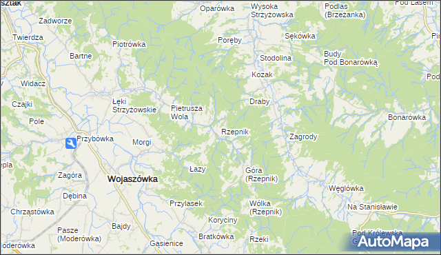 mapa Rzepnik, Rzepnik na mapie Targeo