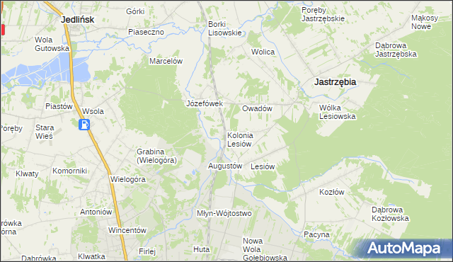 mapa Kolonia Lesiów, Kolonia Lesiów na mapie Targeo