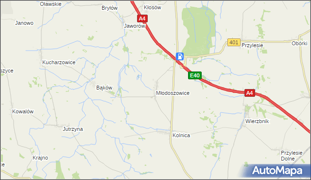 mapa Młodoszowice, Młodoszowice na mapie Targeo