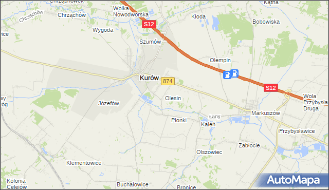 mapa Olesin gmina Kurów, Olesin gmina Kurów na mapie Targeo