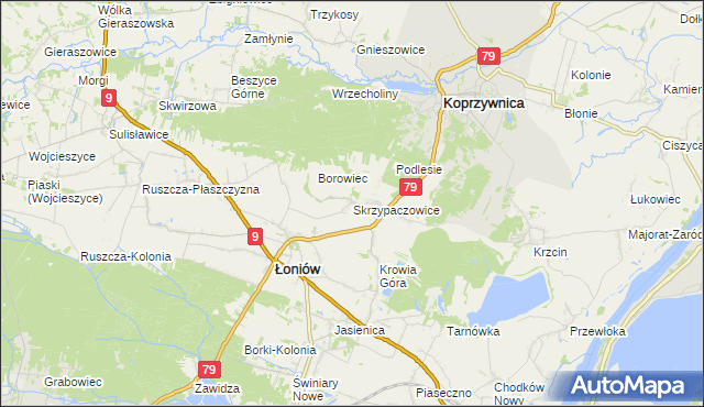 mapa Skrzypaczowice, Skrzypaczowice na mapie Targeo