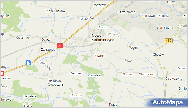 mapa Śliwniki gmina Nowe Skalmierzyce, Śliwniki gmina Nowe Skalmierzyce na mapie Targeo