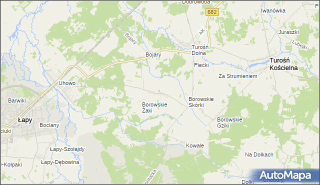 mapa Borowskie Olki, Borowskie Olki na mapie Targeo