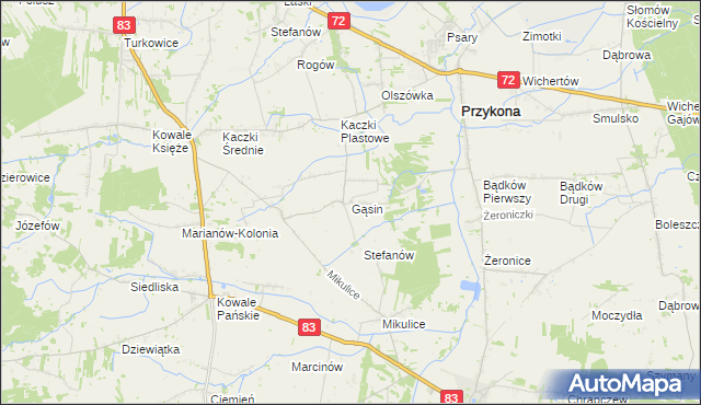 mapa Gąsin, Gąsin na mapie Targeo