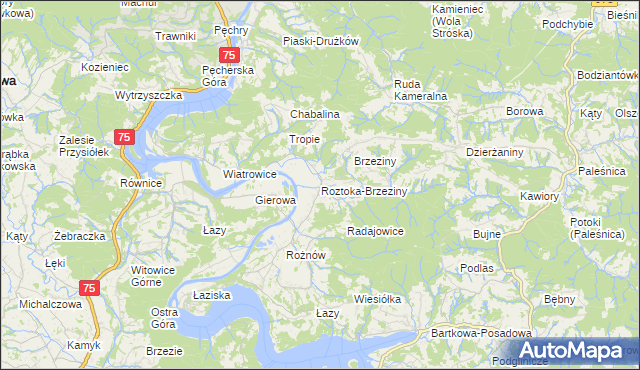 mapa Roztoka-Brzeziny, Roztoka-Brzeziny na mapie Targeo