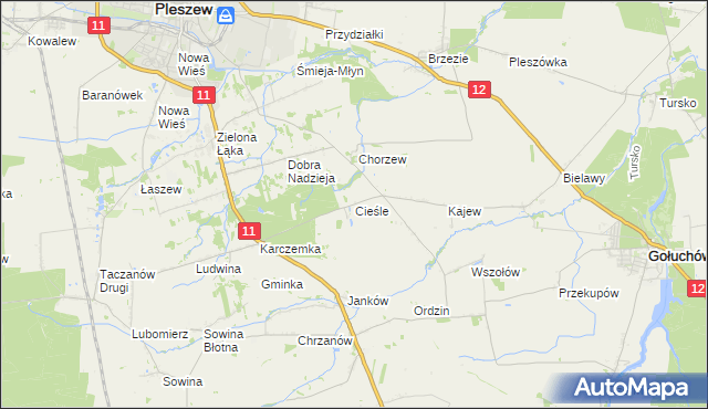 mapa Cieśle gmina Gołuchów, Cieśle gmina Gołuchów na mapie Targeo