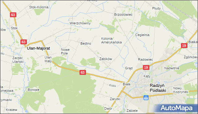 mapa Żabików gmina Radzyń Podlaski, Żabików gmina Radzyń Podlaski na mapie Targeo