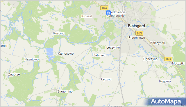 mapa Żabiniec gmina Białogard, Żabiniec gmina Białogard na mapie Targeo