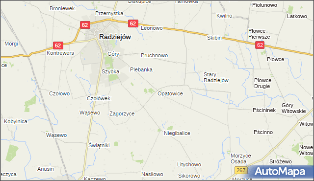 mapa Opatowice gmina Radziejów, Opatowice gmina Radziejów na mapie Targeo