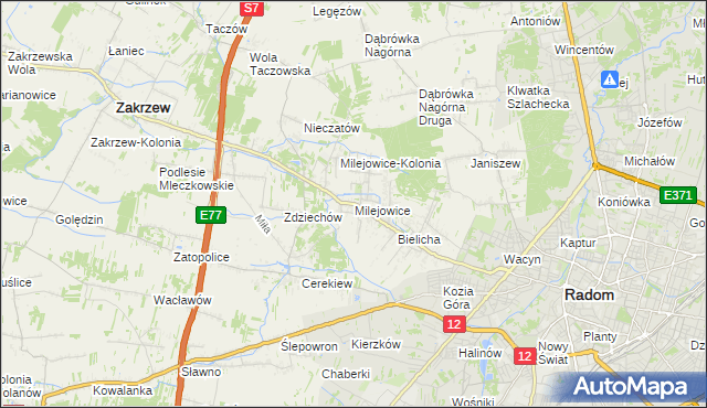 mapa Milejowice gmina Zakrzew, Milejowice gmina Zakrzew na mapie Targeo