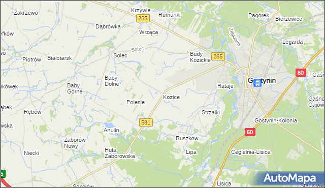 mapa Kozice gmina Gostynin, Kozice gmina Gostynin na mapie Targeo