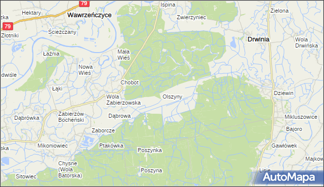 mapa Olszyny gmina Drwinia, Olszyny gmina Drwinia na mapie Targeo