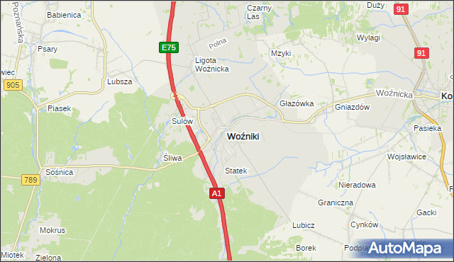 mapa Woźniki powiat lubliniecki, Woźniki powiat lubliniecki na mapie Targeo