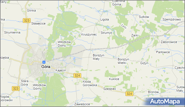 mapa Borszyn Mały, Borszyn Mały na mapie Targeo