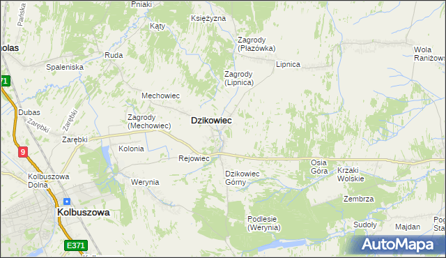 mapa Nowy Dzikowiec, Nowy Dzikowiec na mapie Targeo