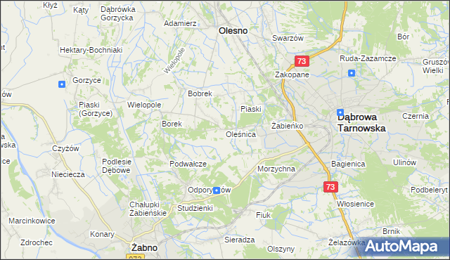 mapa Oleśnica gmina Olesno, Oleśnica gmina Olesno na mapie Targeo