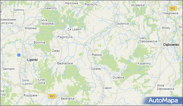 mapa Radość gmina Dębowiec, Radość gmina Dębowiec na mapie Targeo