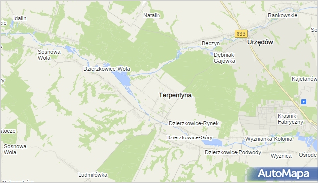 mapa Terpentyna, Terpentyna na mapie Targeo