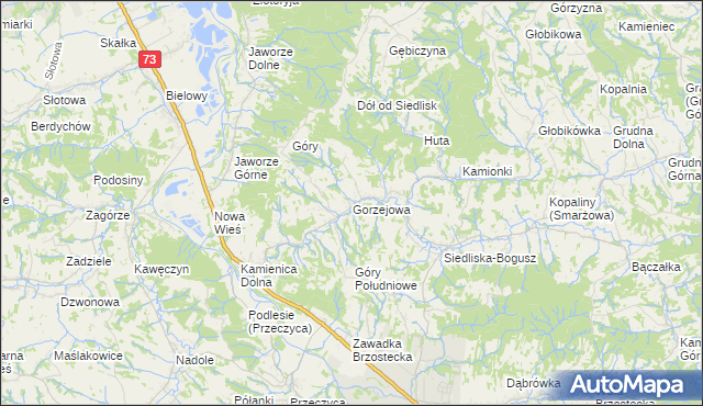 mapa Gorzejowa, Gorzejowa na mapie Targeo