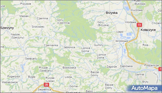 mapa Lipnica Górna gmina Skołyszyn, Lipnica Górna gmina Skołyszyn na mapie Targeo