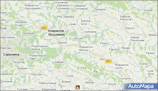 mapa Rzepiennik Biskupi, Rzepiennik Biskupi na mapie Targeo