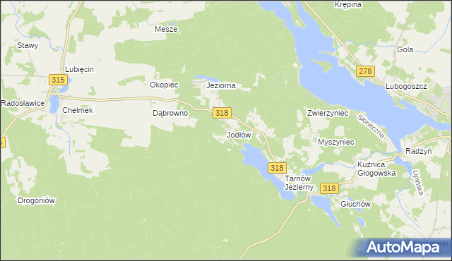 mapa Jodłów gmina Nowa Sól, Jodłów gmina Nowa Sól na mapie Targeo