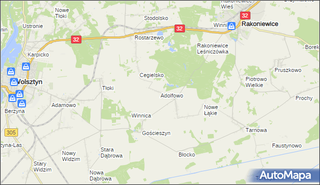 mapa Adolfowo gmina Rakoniewice, Adolfowo gmina Rakoniewice na mapie Targeo