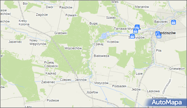 mapa Białowieża gmina Sędziszów, Białowieża gmina Sędziszów na mapie Targeo