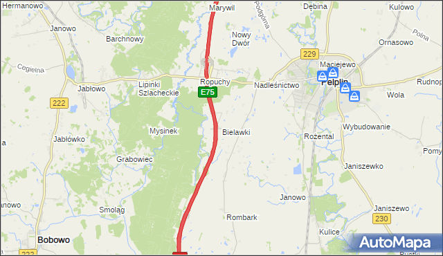 mapa Bielawki gmina Pelplin, Bielawki gmina Pelplin na mapie Targeo