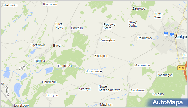 mapa Biskupice gmina Przemęt, Biskupice gmina Przemęt na mapie Targeo