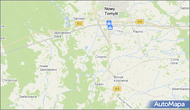 mapa Chojniki gmina Nowy Tomyśl, Chojniki gmina Nowy Tomyśl na mapie Targeo
