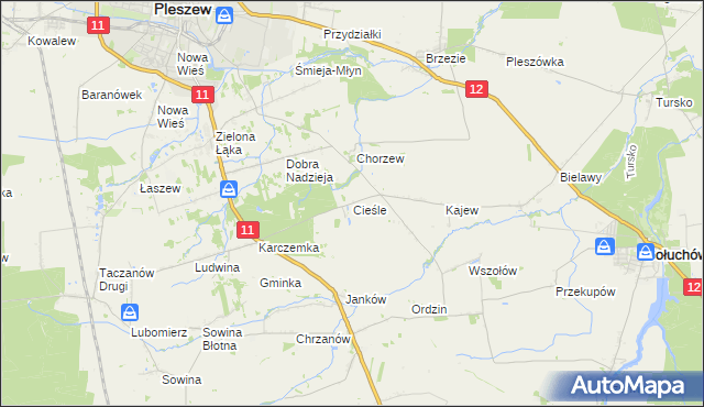 mapa Cieśle gmina Gołuchów, Cieśle gmina Gołuchów na mapie Targeo