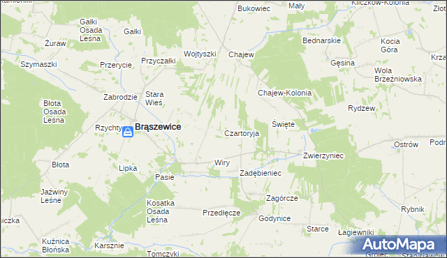 mapa Czartoryja gmina Brąszewice, Czartoryja gmina Brąszewice na mapie Targeo