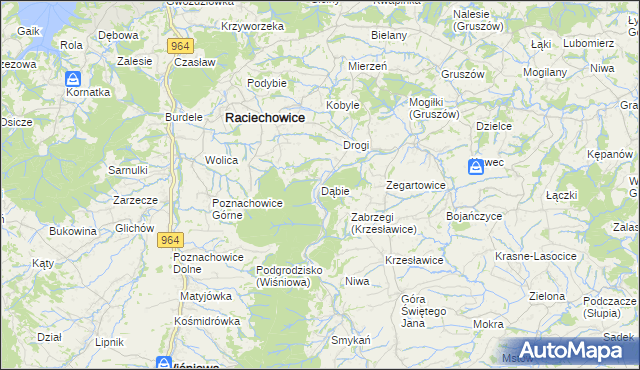 mapa Dąbie gmina Raciechowice, Dąbie gmina Raciechowice na mapie Targeo