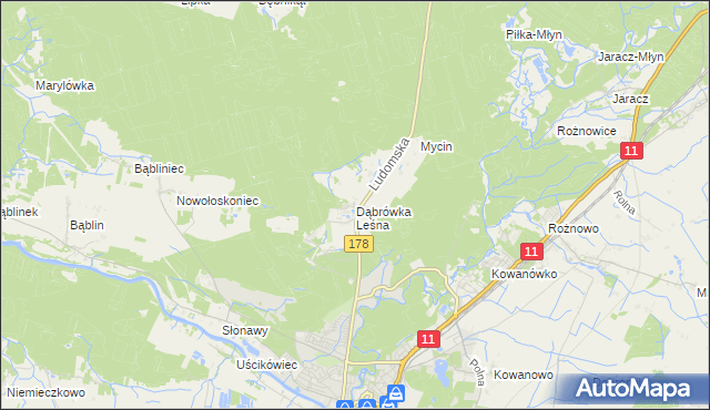 mapa Dąbrówka Leśna, Dąbrówka Leśna na mapie Targeo