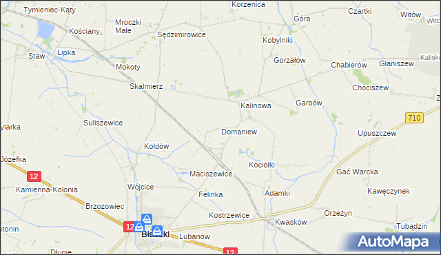 mapa Domaniew gmina Błaszki, Domaniew gmina Błaszki na mapie Targeo