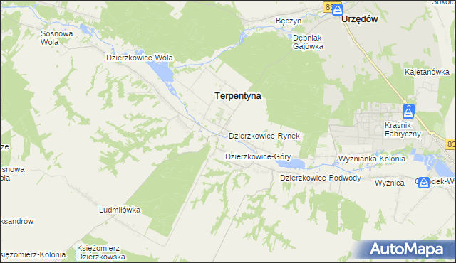 mapa Dzierzkowice-Rynek, Dzierzkowice-Rynek na mapie Targeo