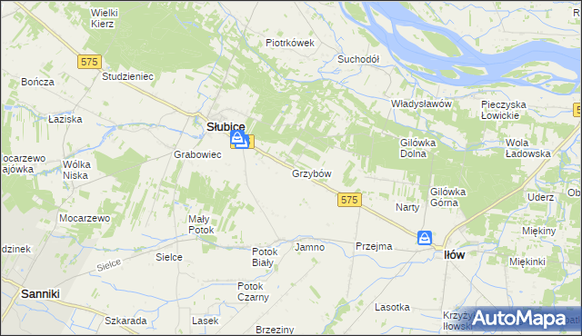 mapa Grzybów gmina Słubice, Grzybów gmina Słubice na mapie Targeo