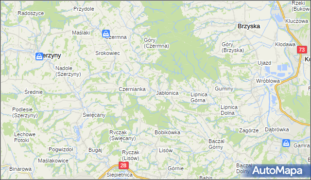 mapa Jabłonica gmina Skołyszyn, Jabłonica gmina Skołyszyn na mapie Targeo