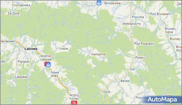 mapa Kamianna, Kamianna na mapie Targeo