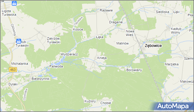 mapa Knieja gmina Zębowice, Knieja gmina Zębowice na mapie Targeo